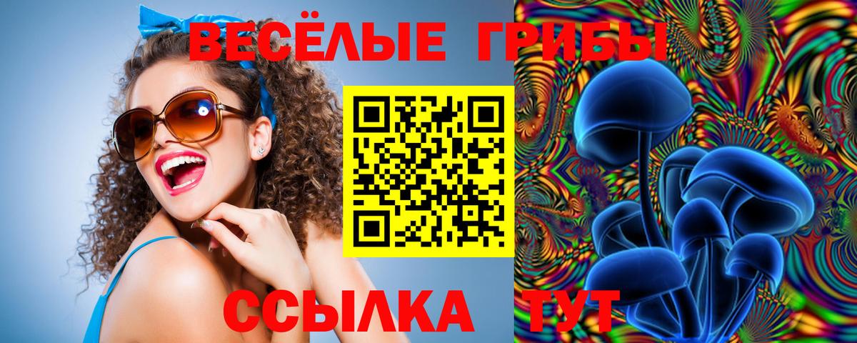 Чехов  Галлюциногенные грибы Psilocybe  Вход с VPN  Галлюциногенные грибы MAGIC MUSHROOMS 