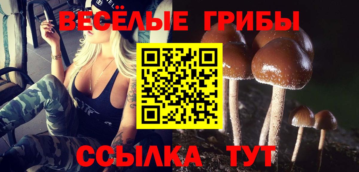 Псилоцибиновые грибы Psilocybe Чехов